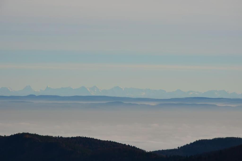 Doller Villa 4 Stars Hot Tub Mountain Ski Ballon D'Alsace Sewen Esterno foto