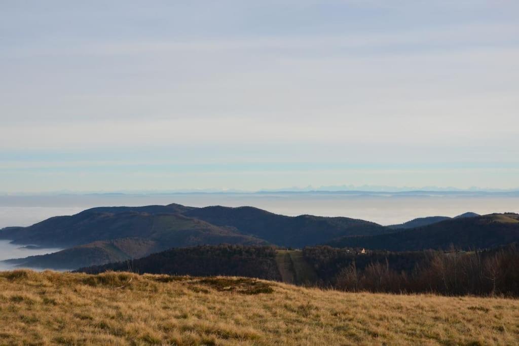 Doller Villa 4 Stars Hot Tub Mountain Ski Ballon D'Alsace Sewen Esterno foto