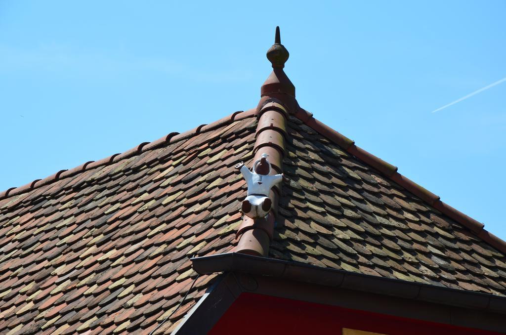 Doller Villa 4 Stars Hot Tub Mountain Ski Ballon D'Alsace Sewen Esterno foto