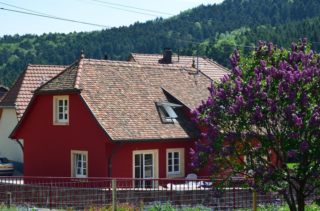 Doller Villa 4 Stars Hot Tub Mountain Ski Ballon D'Alsace Sewen Esterno foto